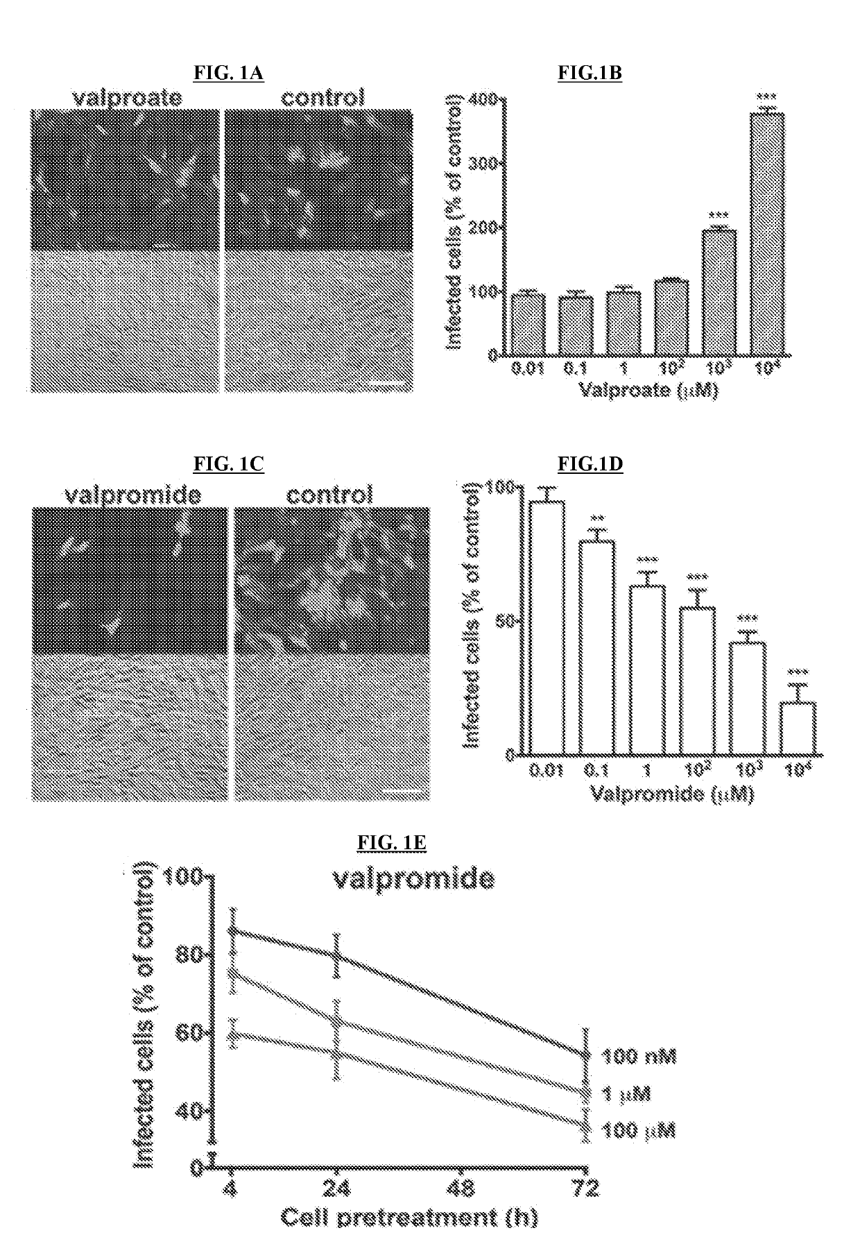 Compositions and Methods for Treating Viral Infection in Mammals