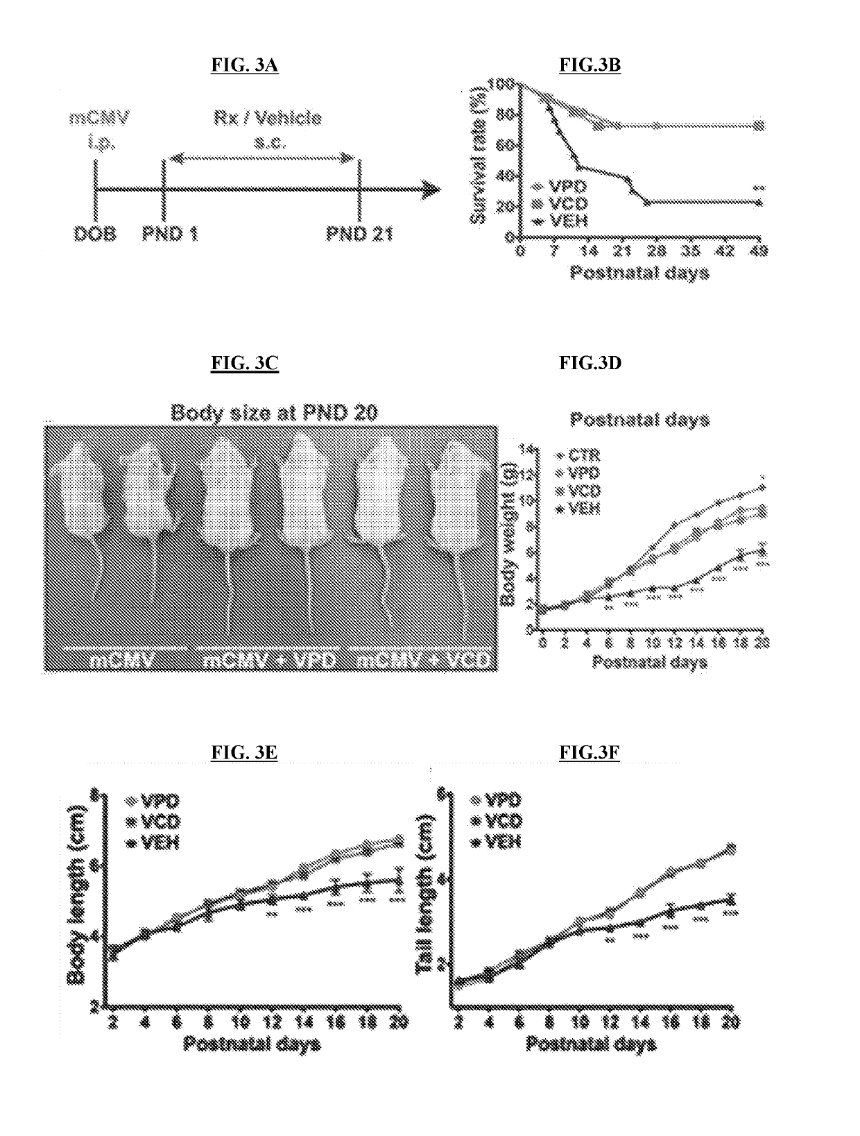 Compositions and Methods for Treating Viral Infection in Mammals