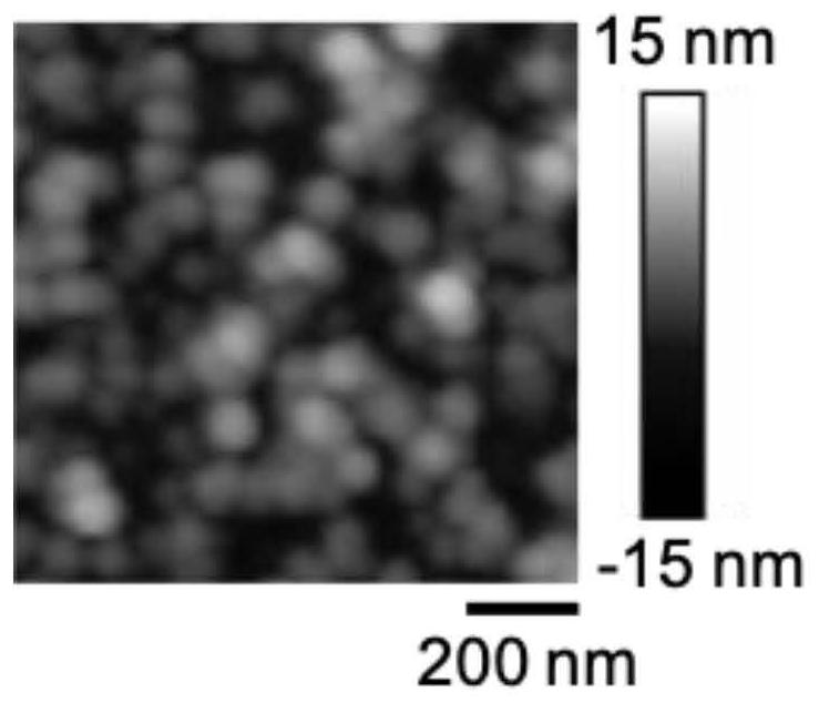 Natural phenolic aldehyde-polyethyleneimine bionic adhesion coating and preparation method thereof