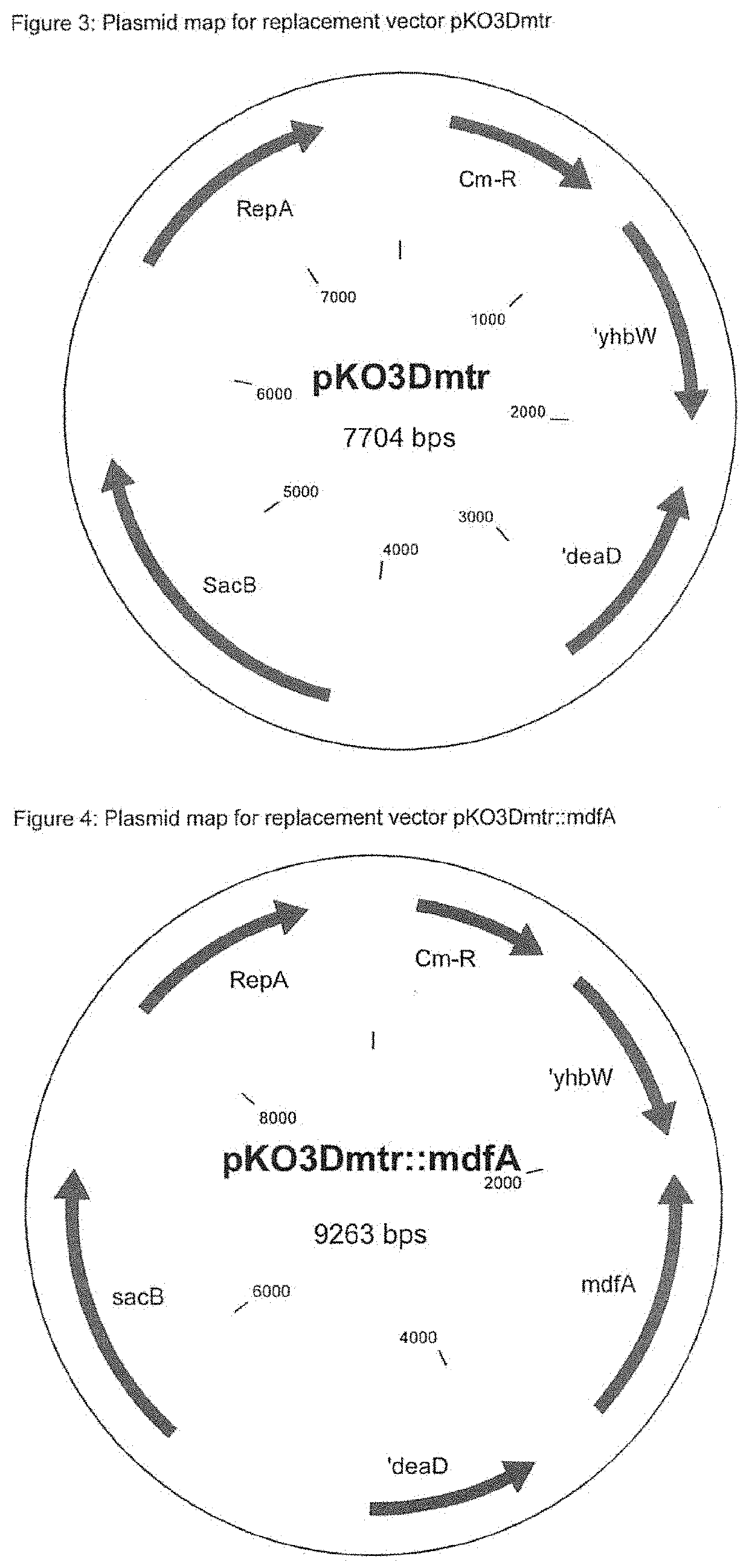 Method for producing l-tryptophan using improved strains of the enterobacteriaceae family