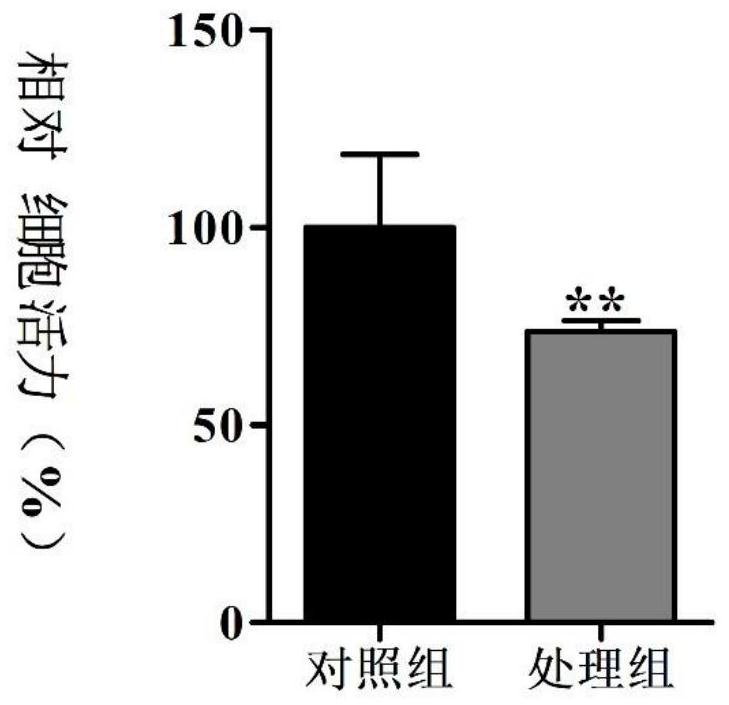 A method for constructing a co-culture system of pancreatic ductal epithelial cells and pancreatic acinar cells simulating the in vivo microenvironment