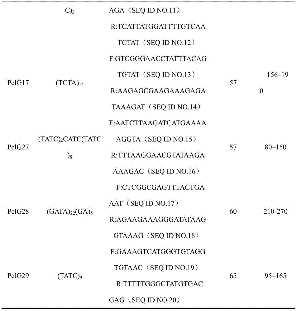 Method used for identifying different families of procambarus clarkii