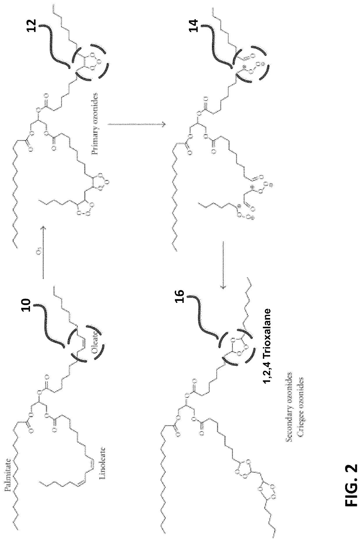 Method for forming and applying an oxygenated machining fluid