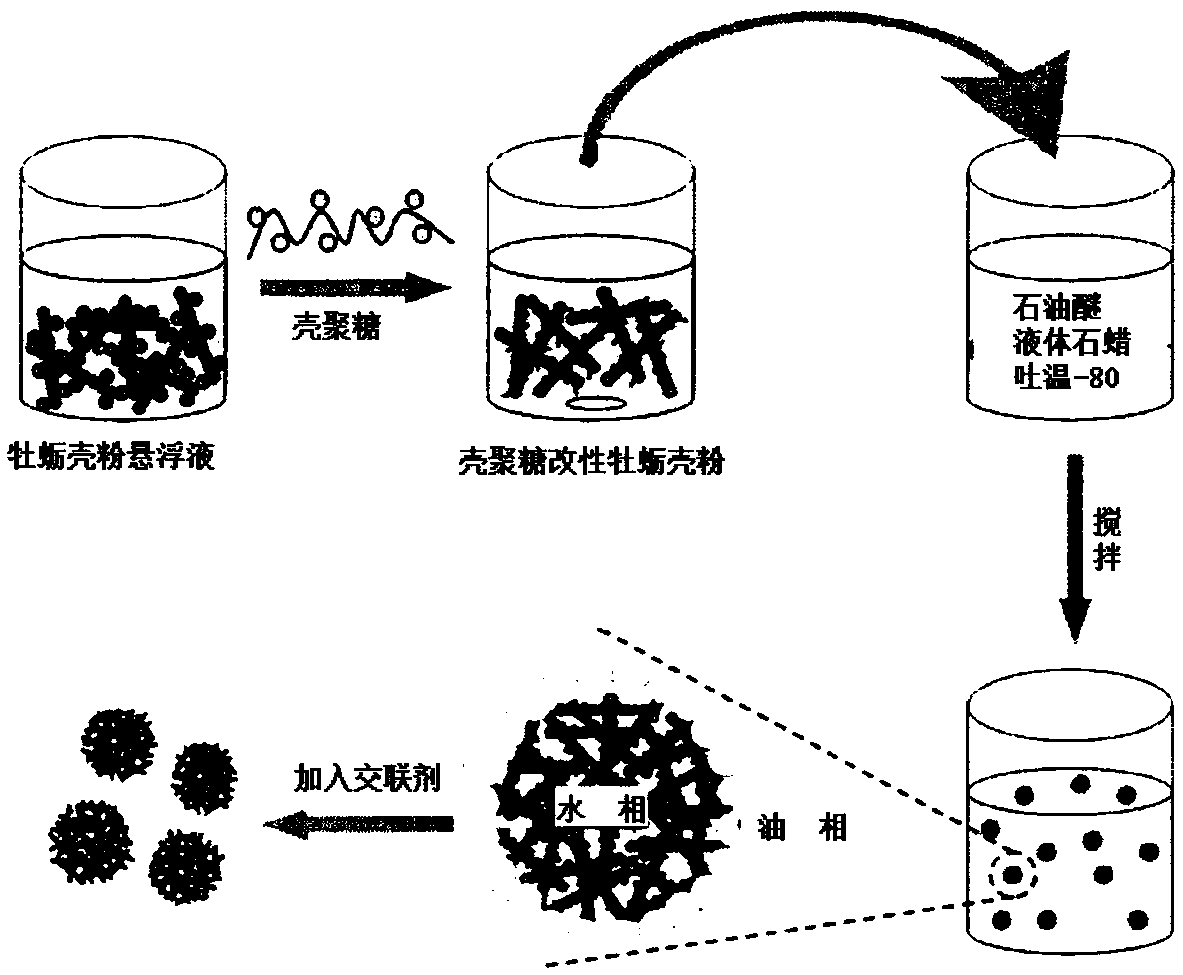 A kind of chitosan-oyster shell composite microsphere and preparation method thereof