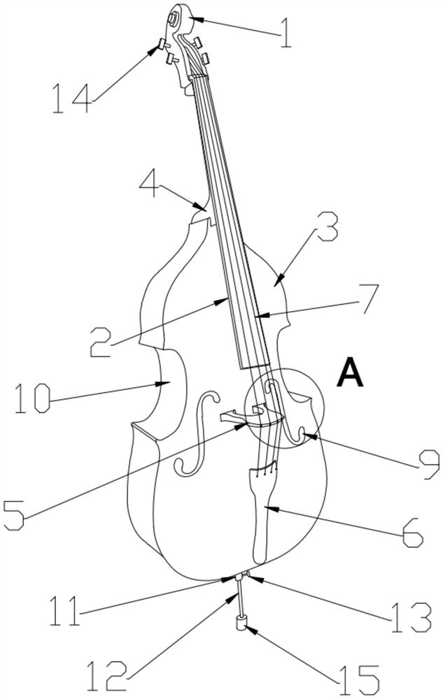 Low-pitch violin with narrow upper part and wide lower part