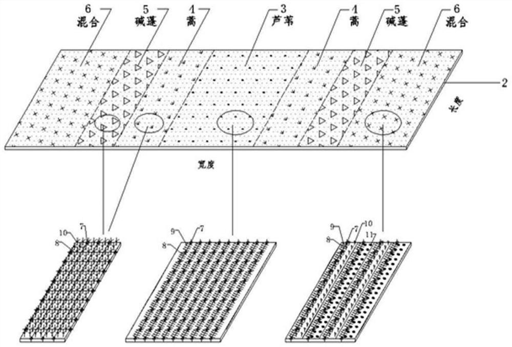 A saline-alkali land ecological drainage ditch structure and its rapid construction method