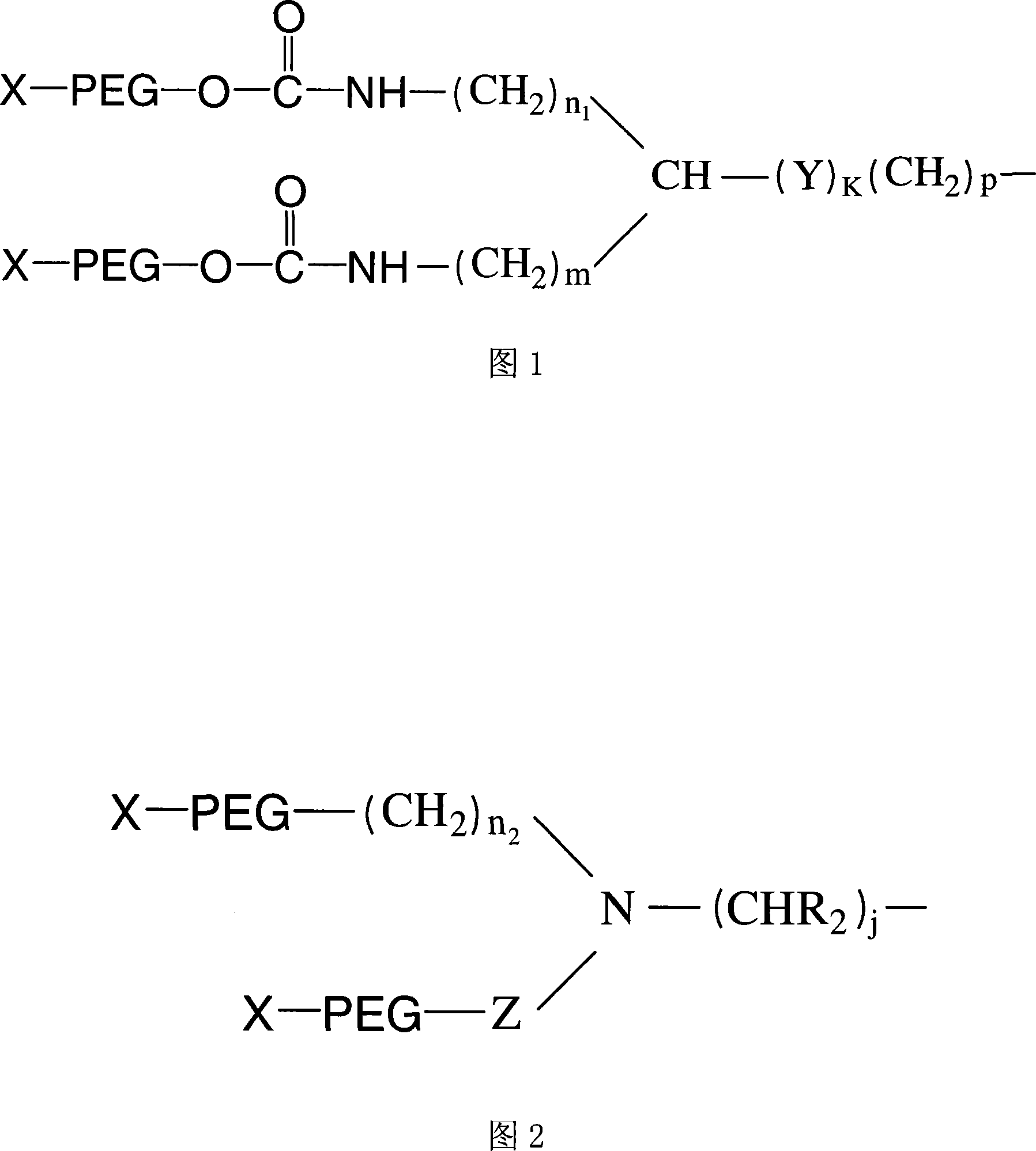Exendin or its analogs with polyethylene group and its preparation and application