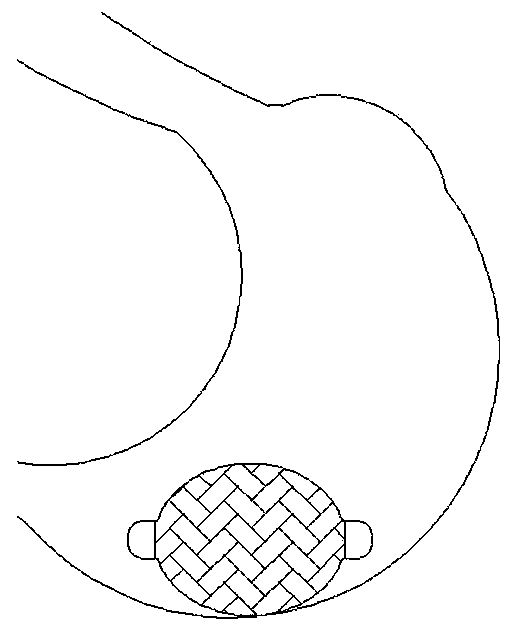 Covered stent, preparation method and weight-losing stent system comprising covered stent