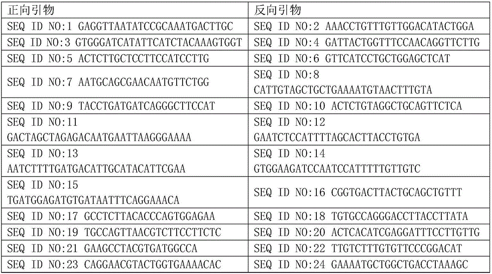 Method and device for detecting copy number variation based on amplicon next generation sequencing
