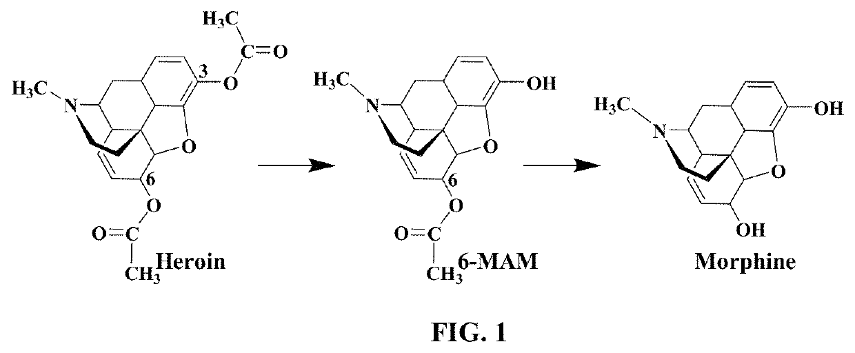 Butyrylcholinesterase inhibitors for treatment of opioid use disorder