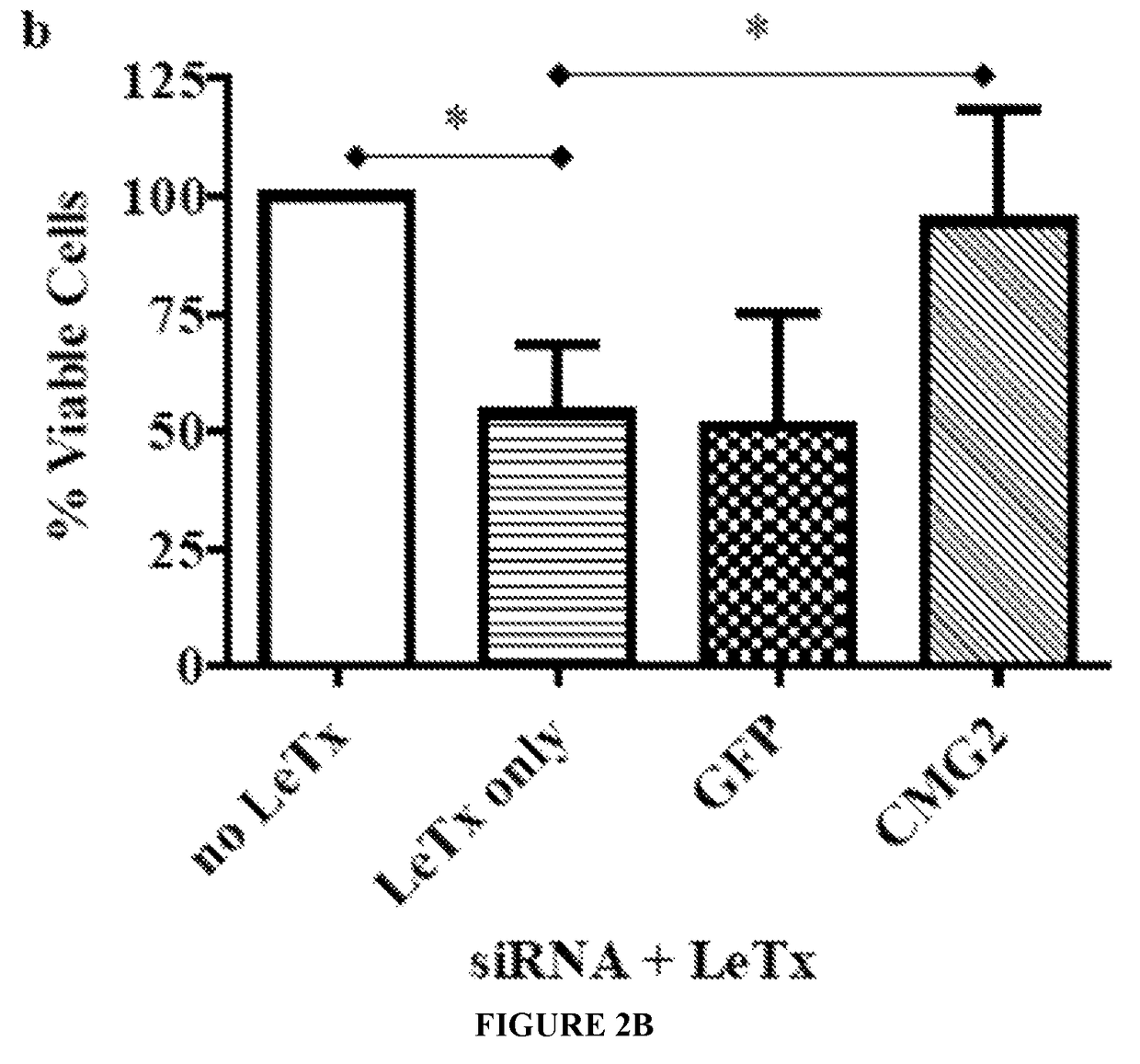 RNA interference-based therapeutic against anthrax