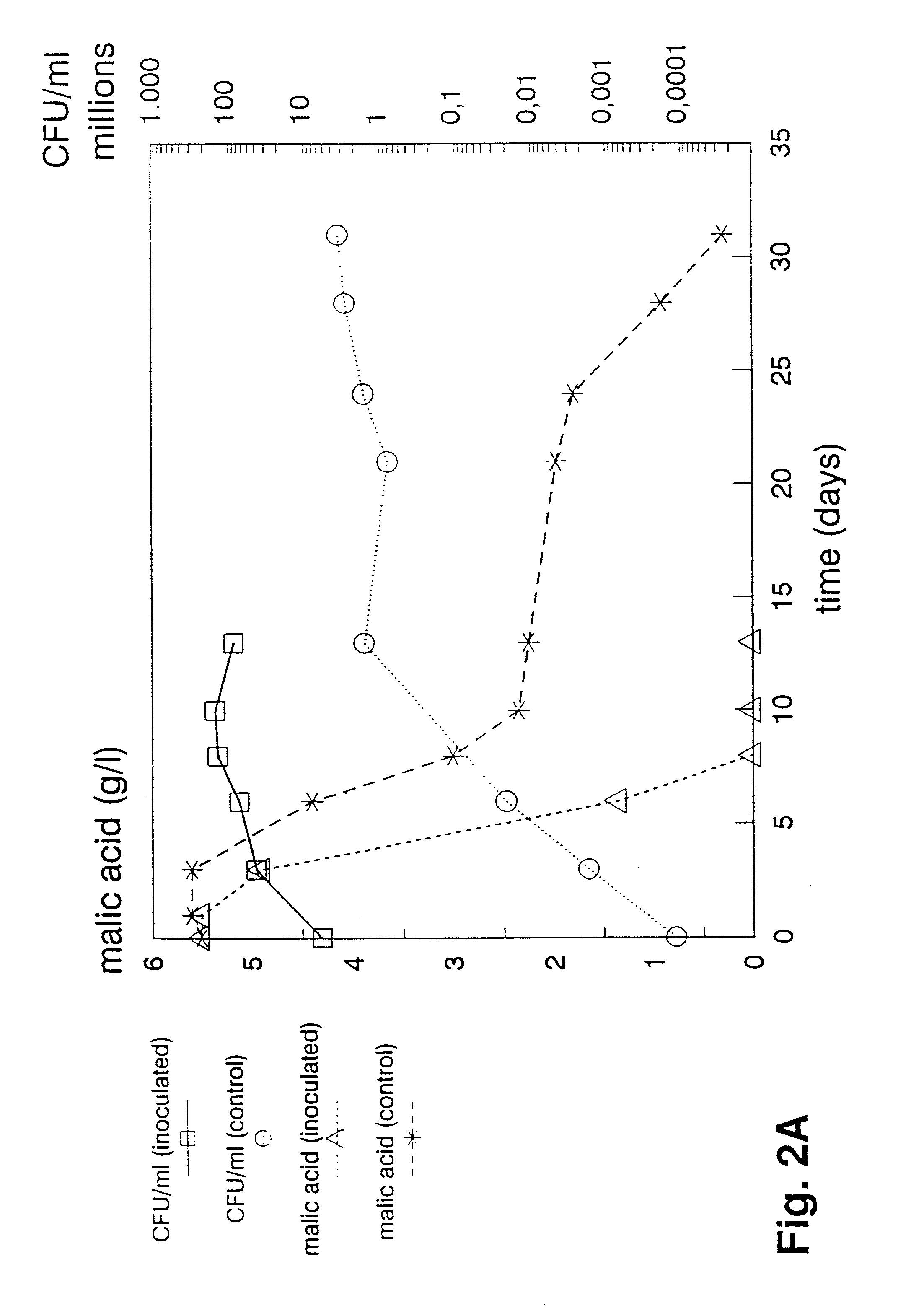 Method of inducing malolactic fermentation in wine or fruit juice by direct inoculation with a non-activated starter culture
