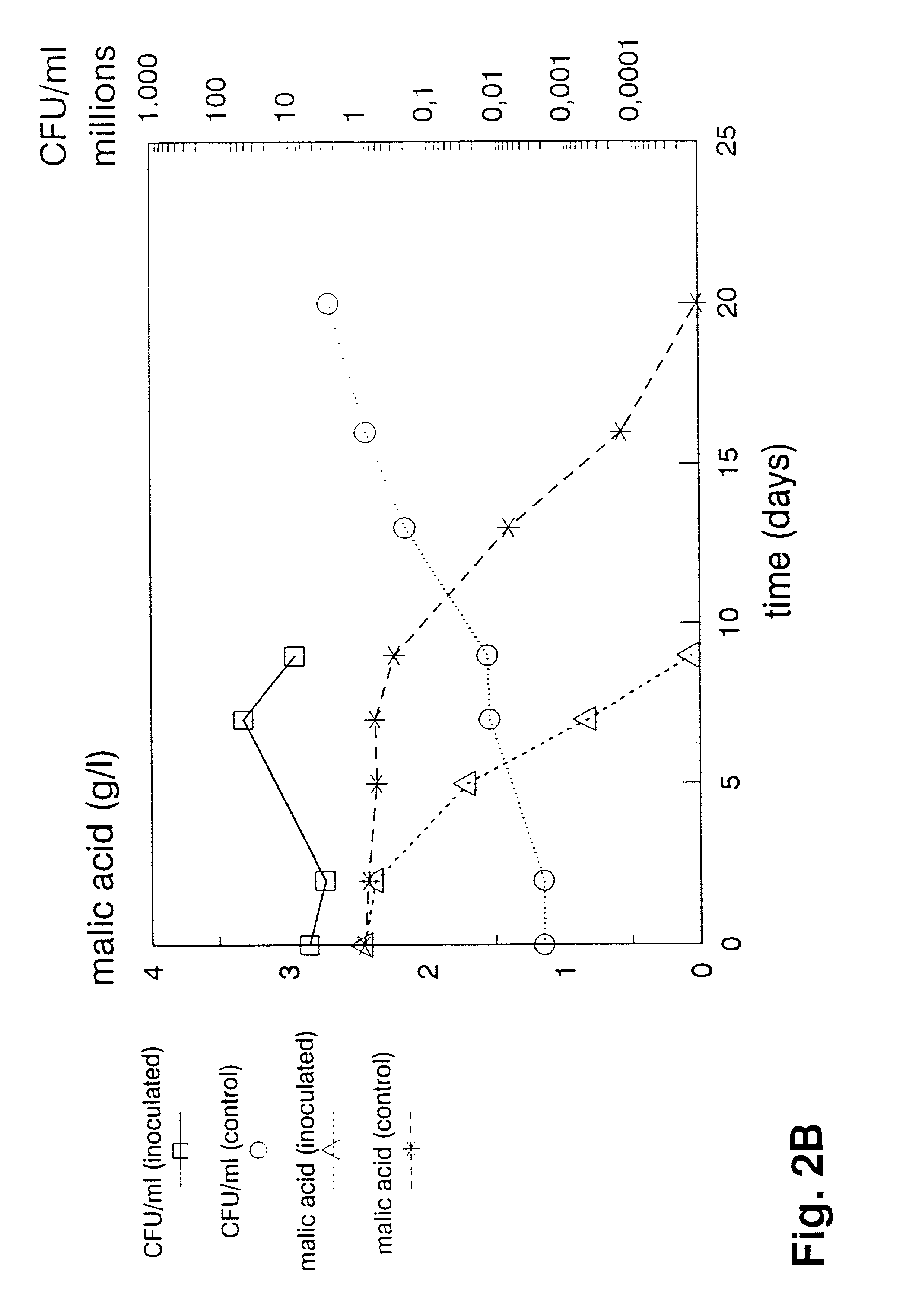 Method of inducing malolactic fermentation in wine or fruit juice by direct inoculation with a non-activated starter culture