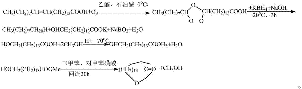 Method for preparing cyclopentadecanolide from malania oleifera oil