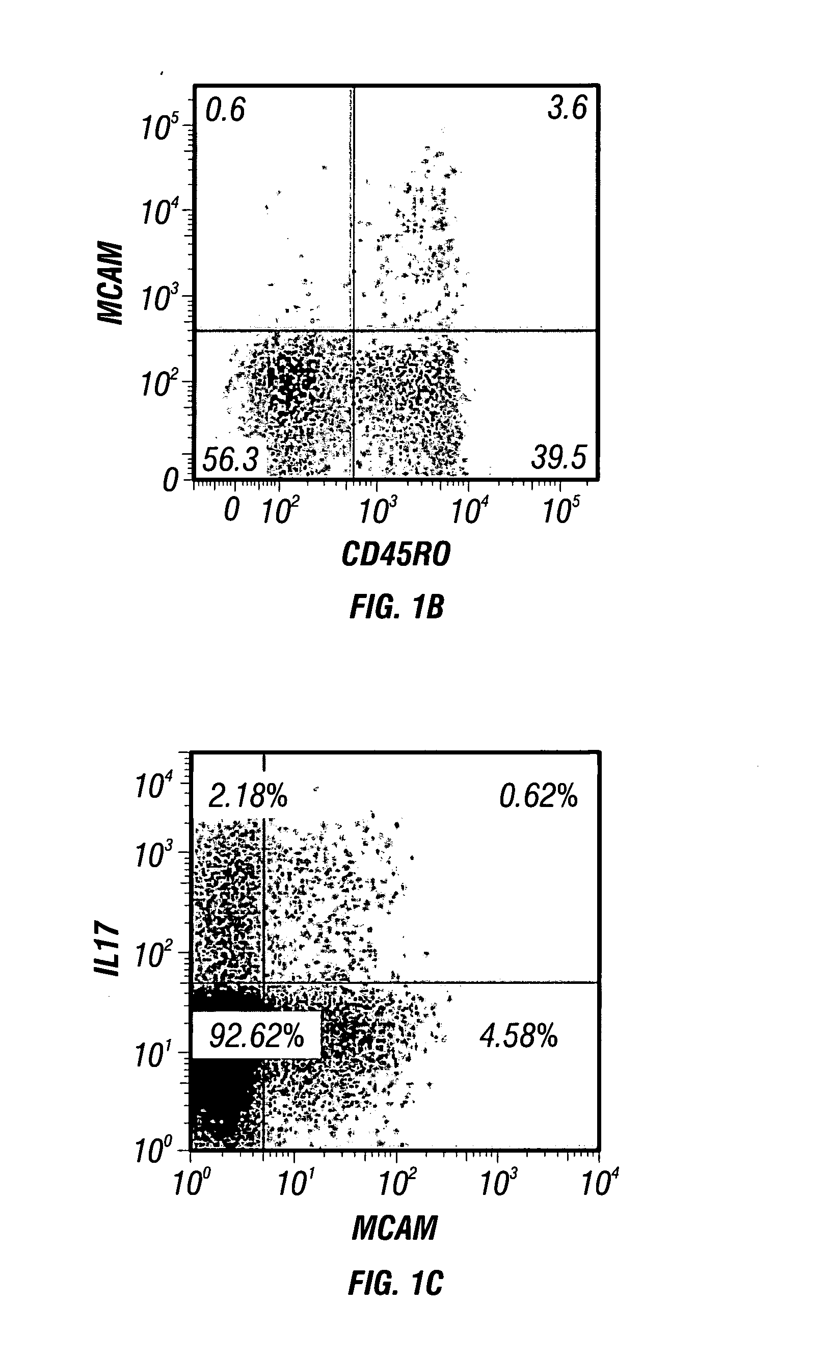 Mcam antagonists and methods of treatment