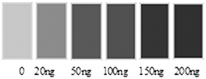 Analytical method for measuring content of soluble lead in domestic ceramic