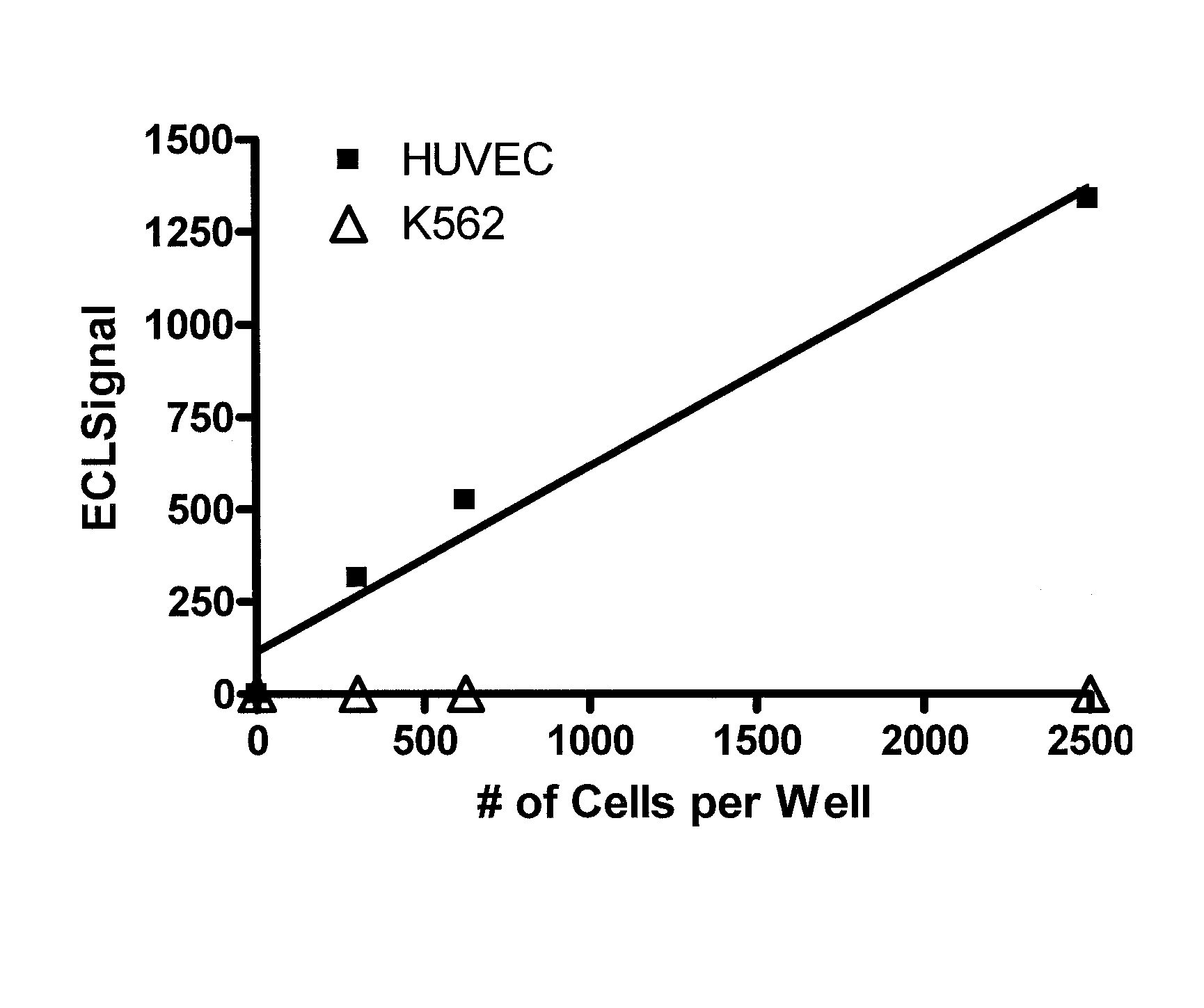 Detection of circulating endothelial cells