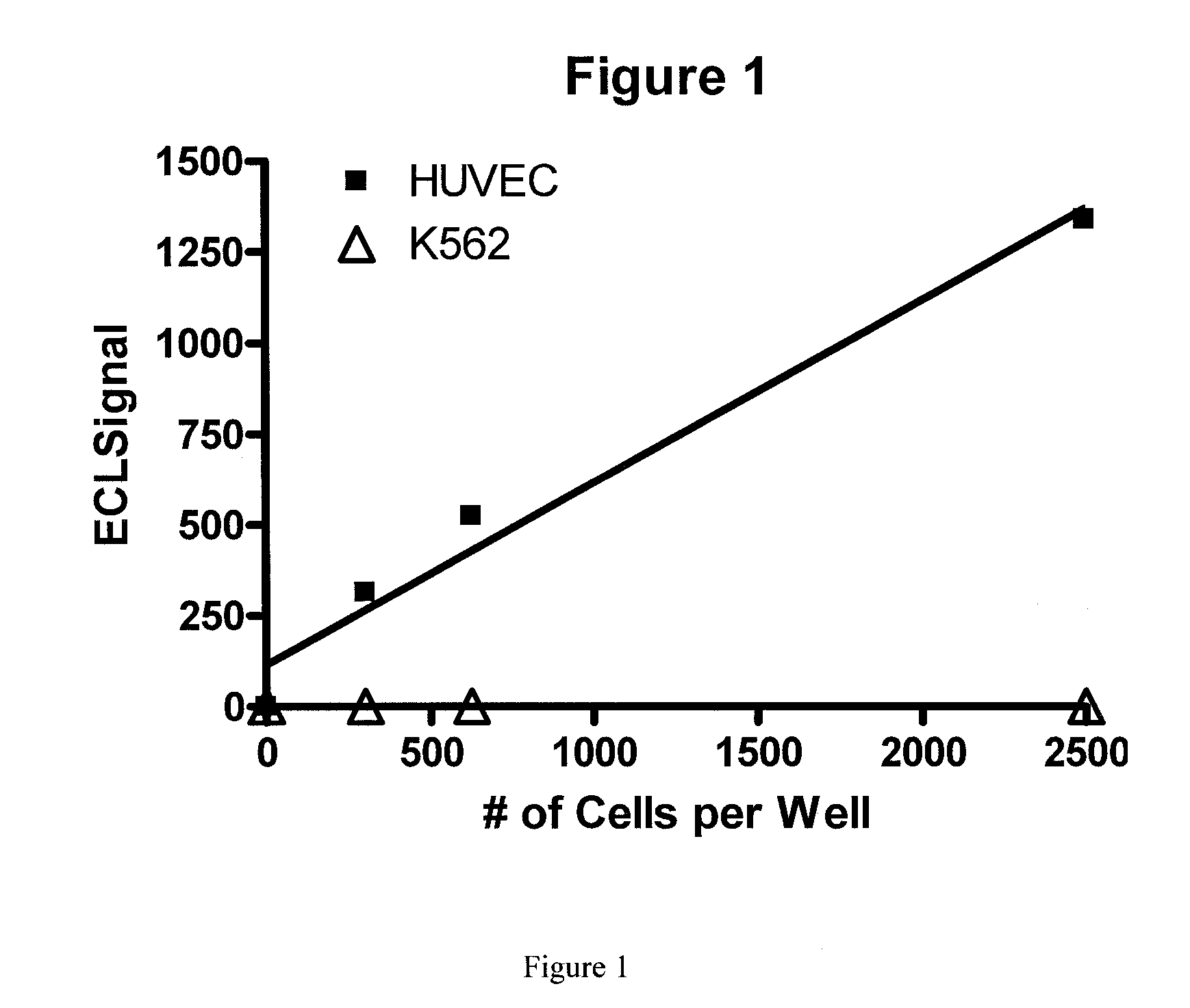 Detection of circulating endothelial cells