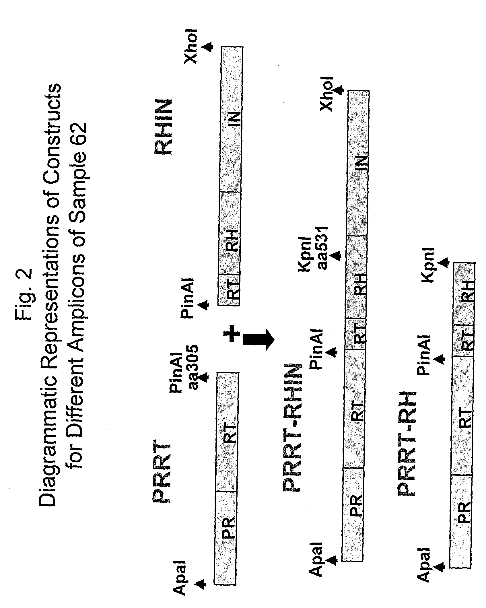 Methods and compositions for determining altered susceptibility of HIV-1 to anti-HIV drugs