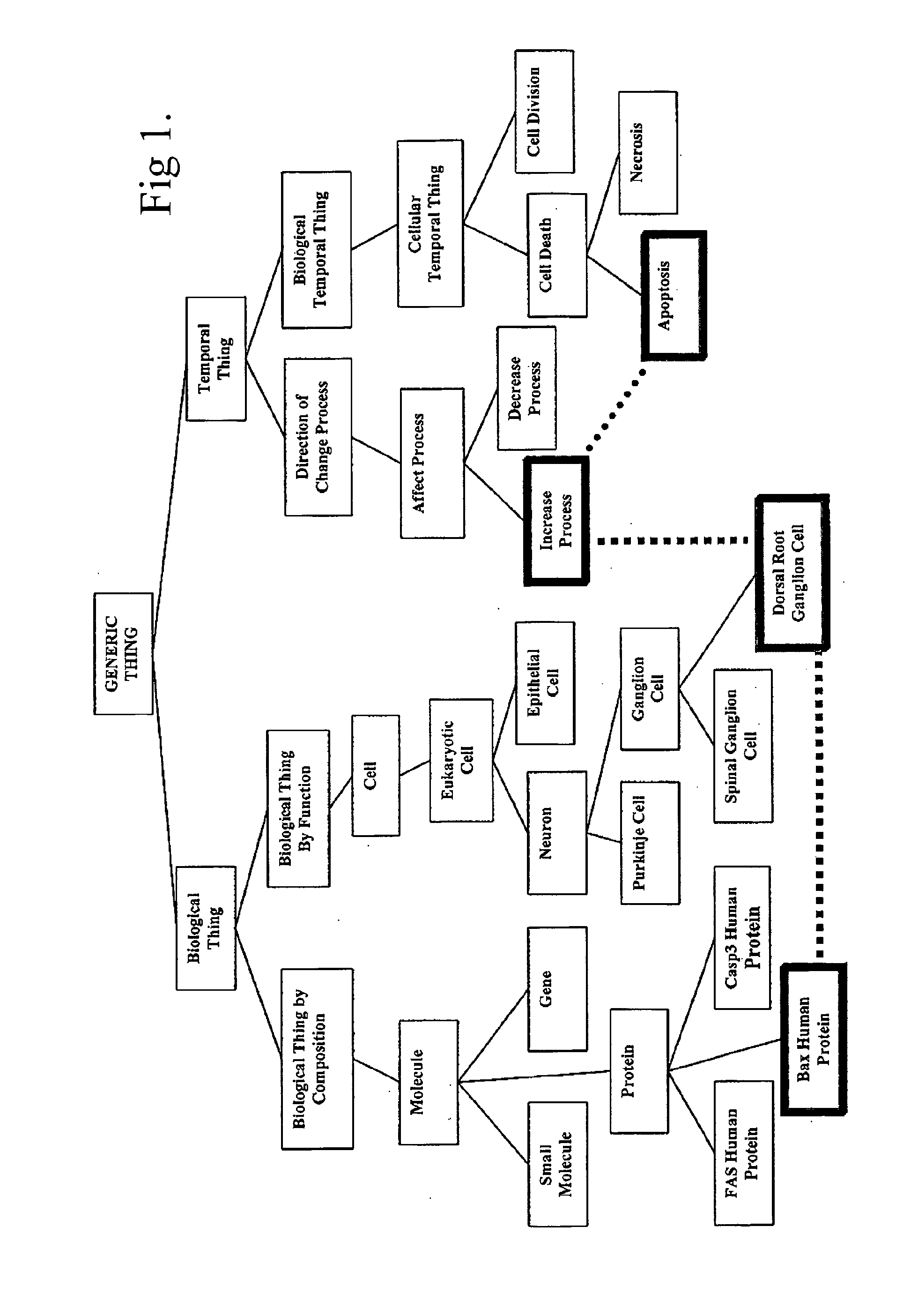 Drug Discovery Methods