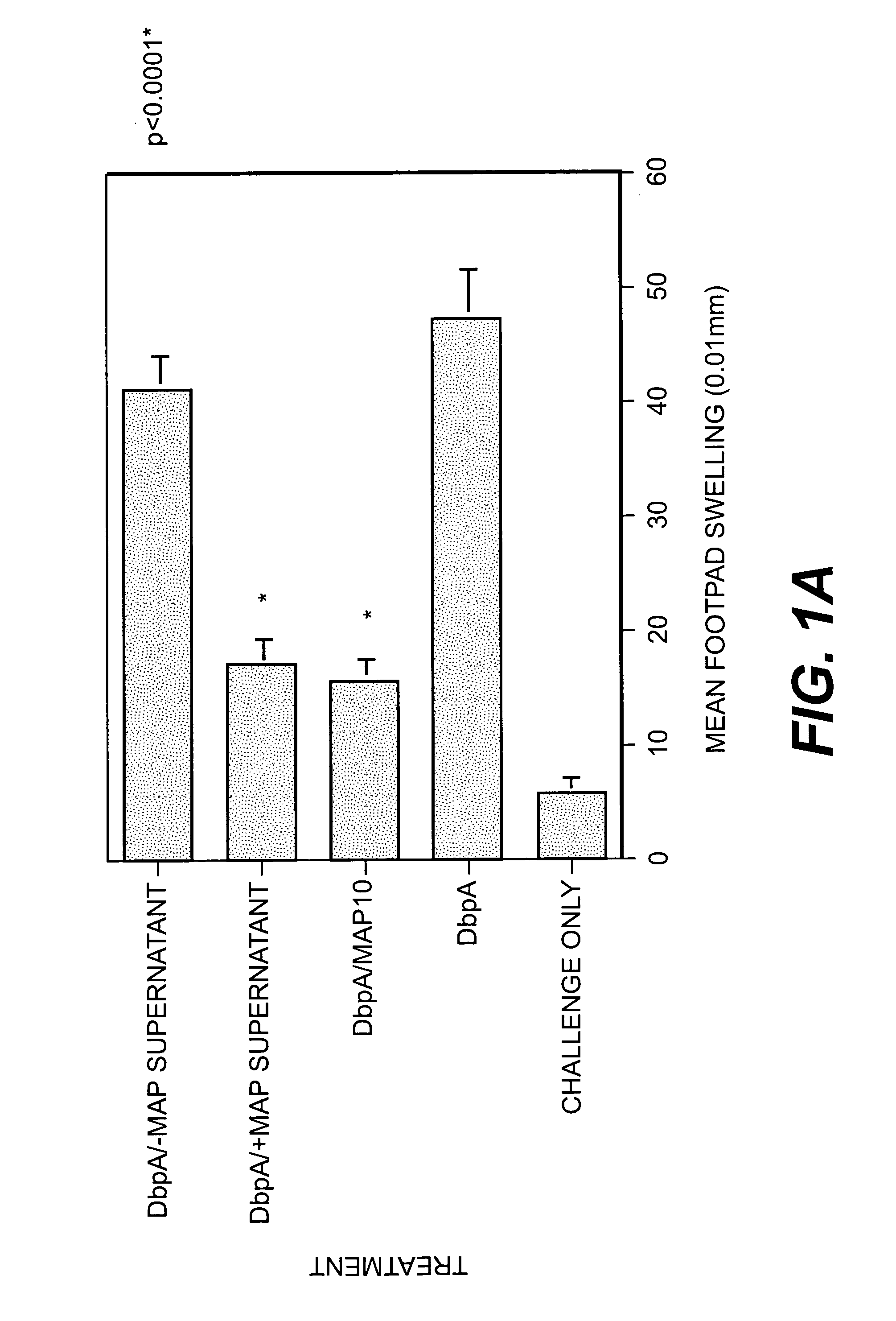 Method of preventing T cell-mediated responses by the use of the major histocompatibility complex class II analog protein (map protein) from <i>Staphylococcus aureus</i>