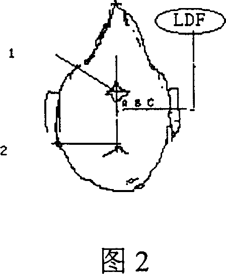 Pharmaceutical preparation ingested via nose for treating ischemia cerebrovascular disease