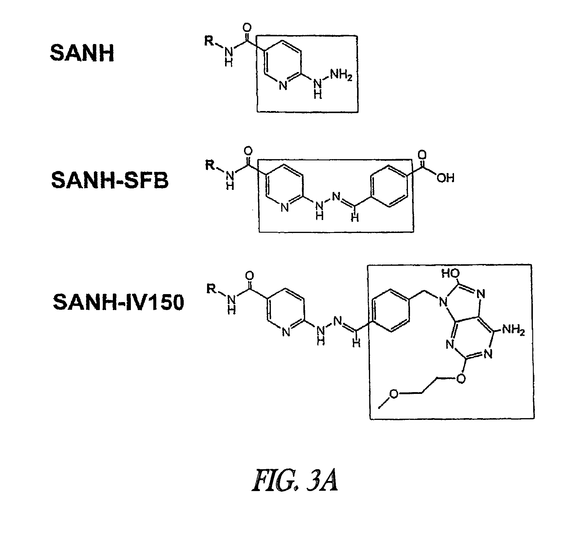 Conjugates of synthetic tlr agonists and uses therefor