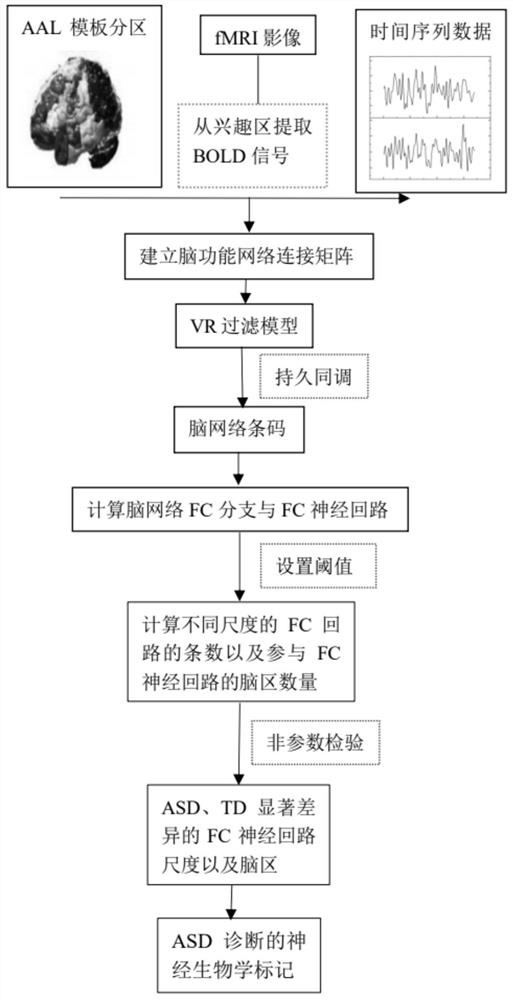 Children autism neurobiological marker searching method based on persistent homology