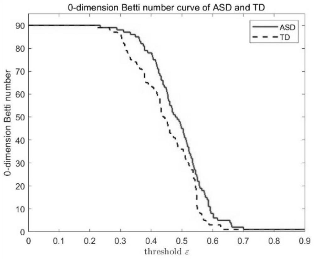 Children autism neurobiological marker searching method based on persistent homology