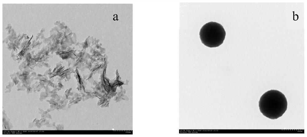 Preparation method, product and application of nano-calcium phosphate for polyphosphopeptide enrichment and phosphorylation site identification