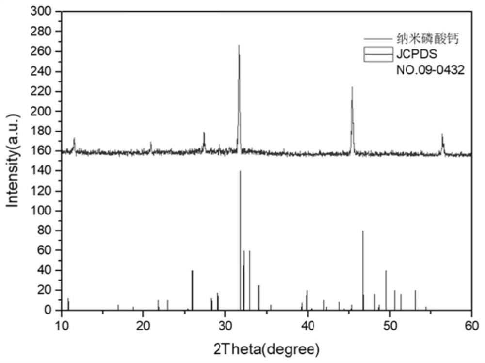 Preparation method, product and application of nano-calcium phosphate for polyphosphopeptide enrichment and phosphorylation site identification