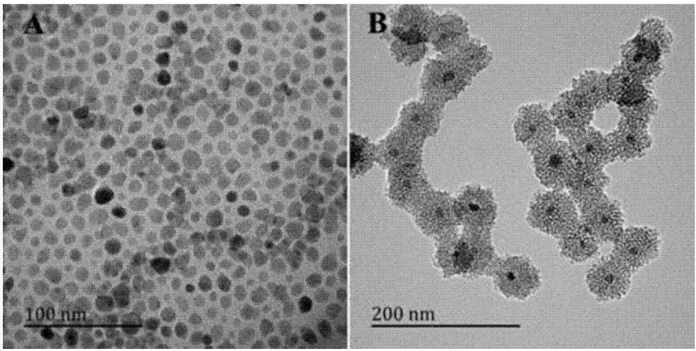 Preparation method of meso-porous silicon nanoparticle with reducing/enzyme dual response and targeting property