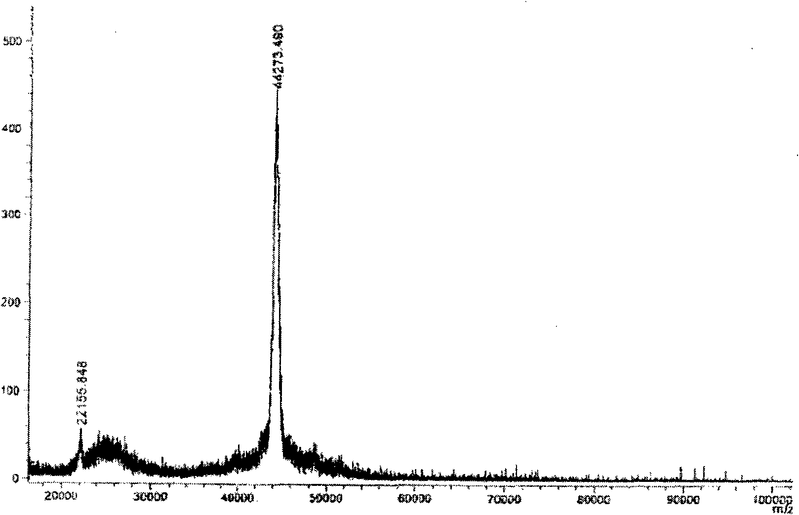 Hybridoma cell line and chloramphenicol-resistant monoclonal antibody produced by same