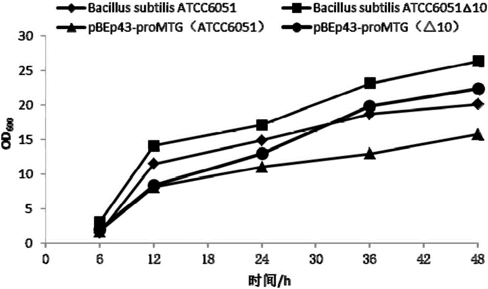 Bacillus subtilis recombinant strain as well as preparation method and application thereof