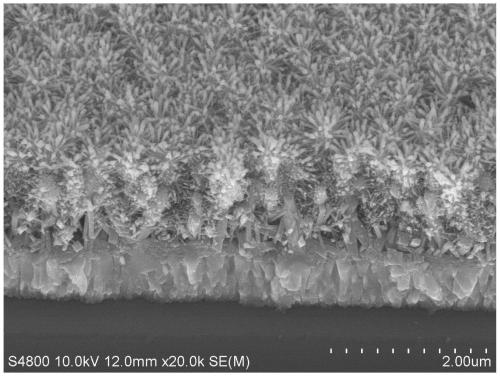 Preparation method and array of titanium dioxide nanorod array with branched structure on top