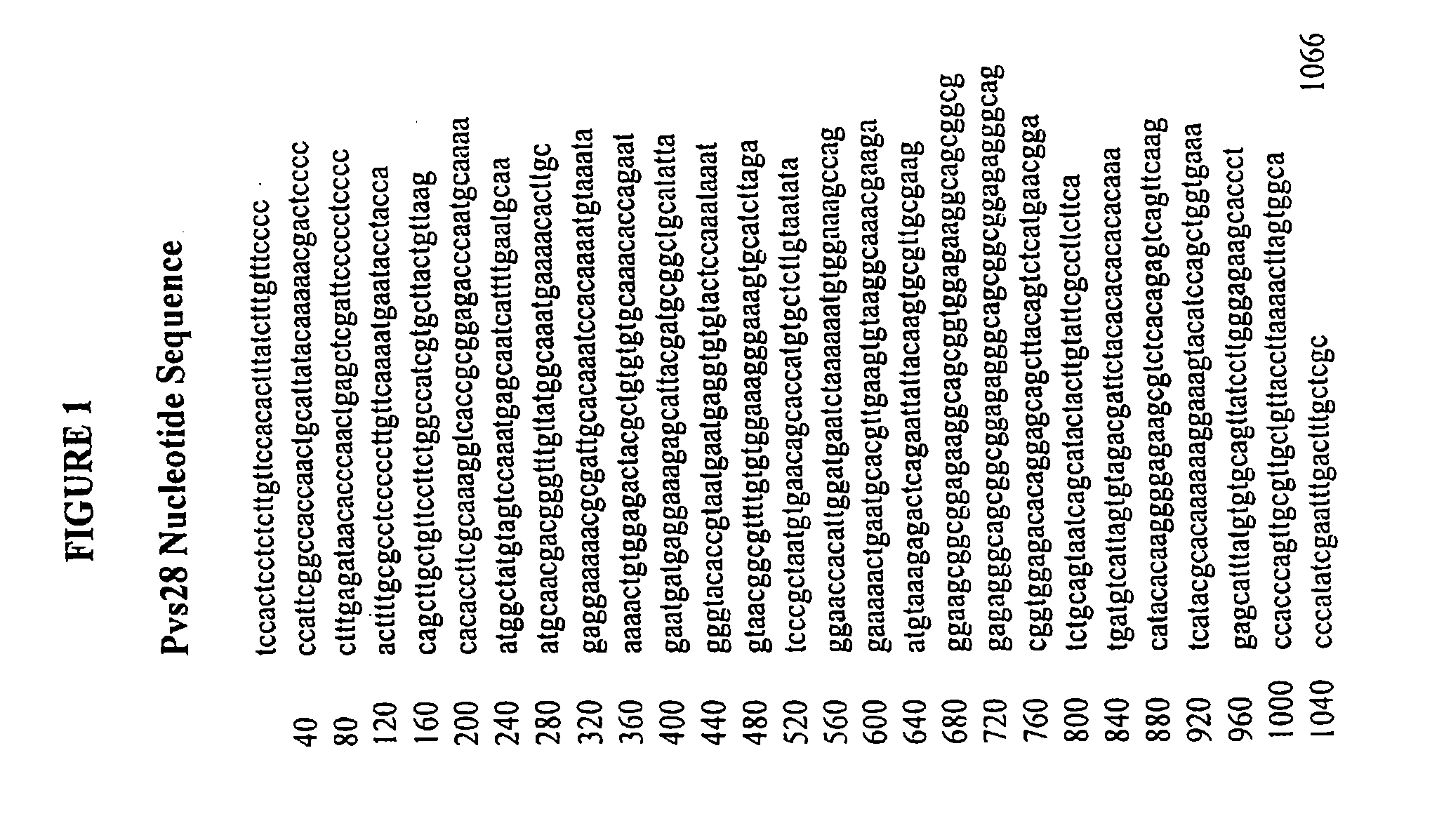 Vaccines for blocking transmission of plasmodium vivax