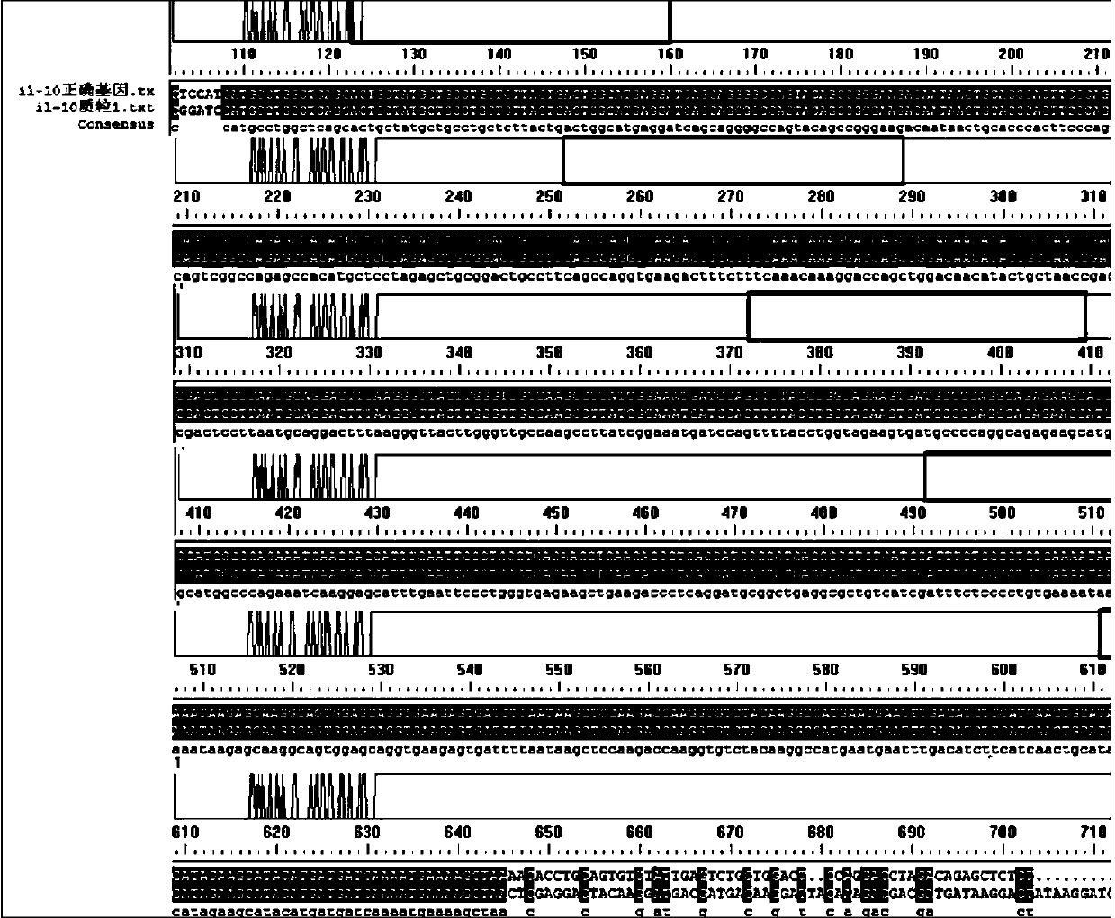 Preparation and application of recombinant adenovirus capable of expressing IL-10