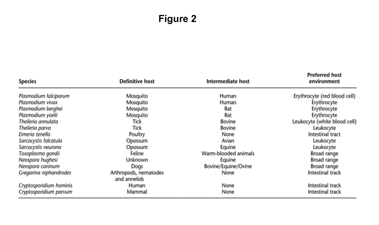 Vaccines against apicomplexan pathogens