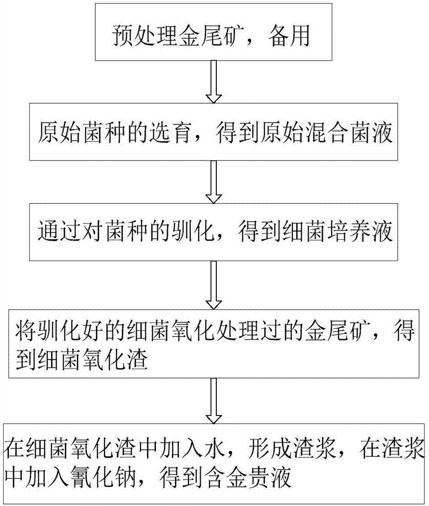 Method for conducting bacterial oxidation treatment on gold tailings and recycling gold in gold tailings through cyaniding