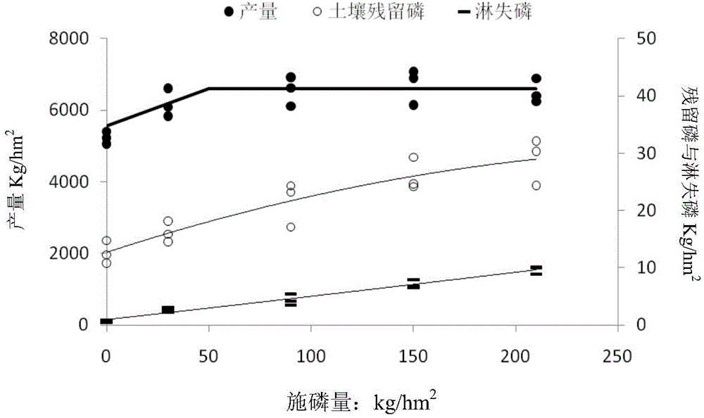 Beijing area summer corn partition phosphorus applying method concurrently considering region yield and environmental risk