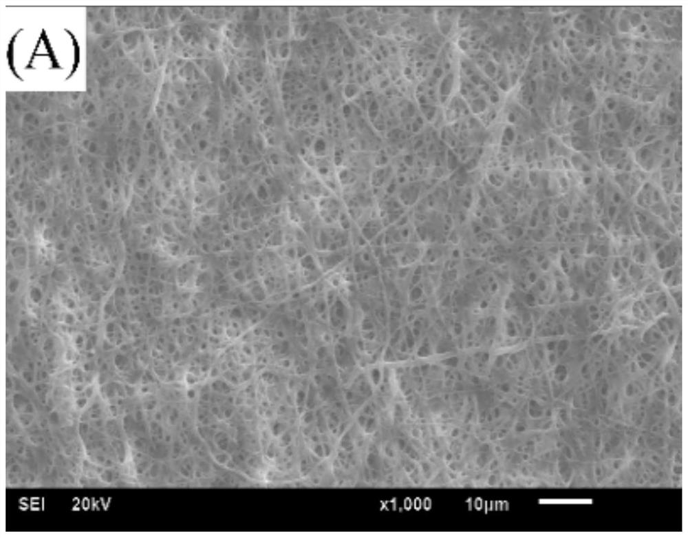 A kind of multilayer gradient biofilm and preparation method thereof