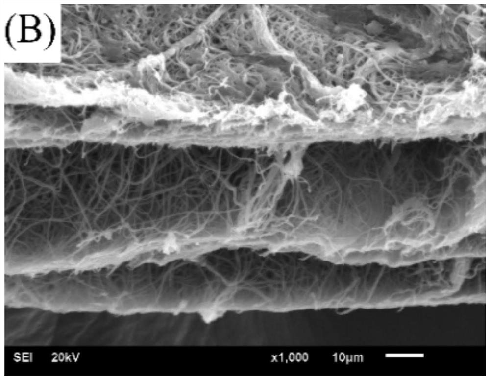 A kind of multilayer gradient biofilm and preparation method thereof