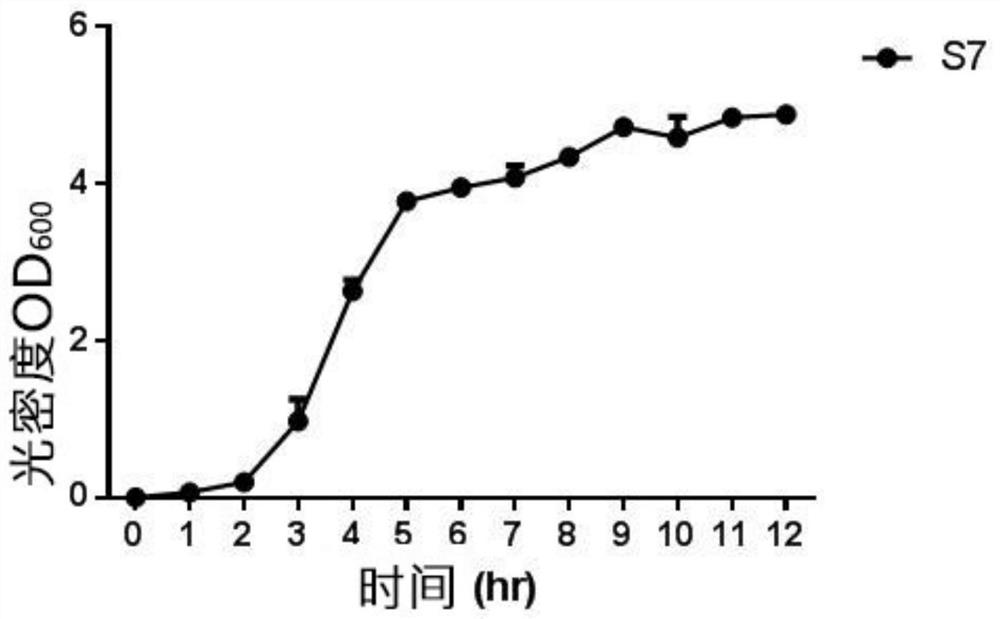 A kind of Citrobacter strain and its application