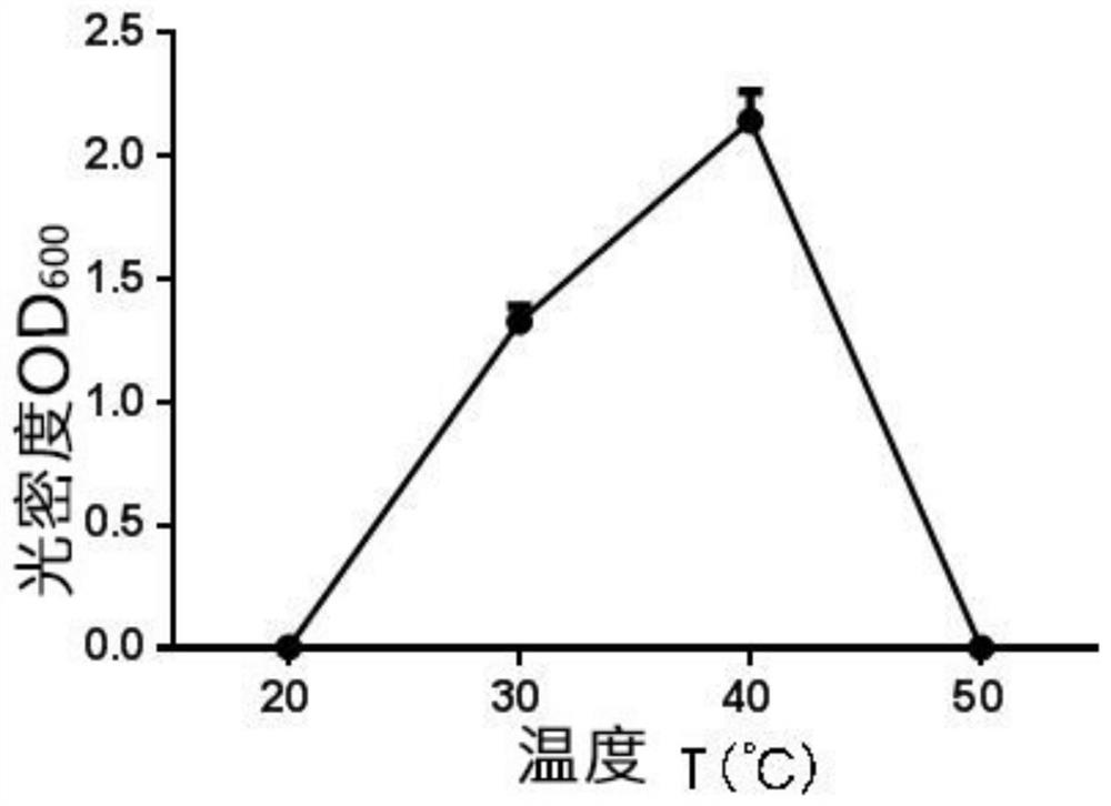 A kind of Citrobacter strain and its application