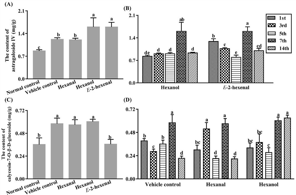 Application of n-hexanol in induction of growth of adventitious roots of astragalus membranaceus and synthesis and accumulation of multiple active ingredients of astragalus membranaceus