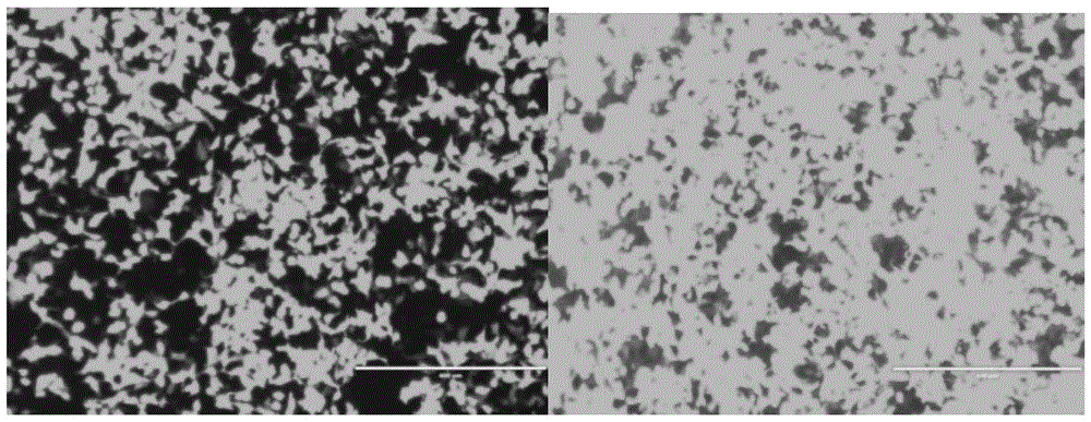 New application of CD133 plasmid