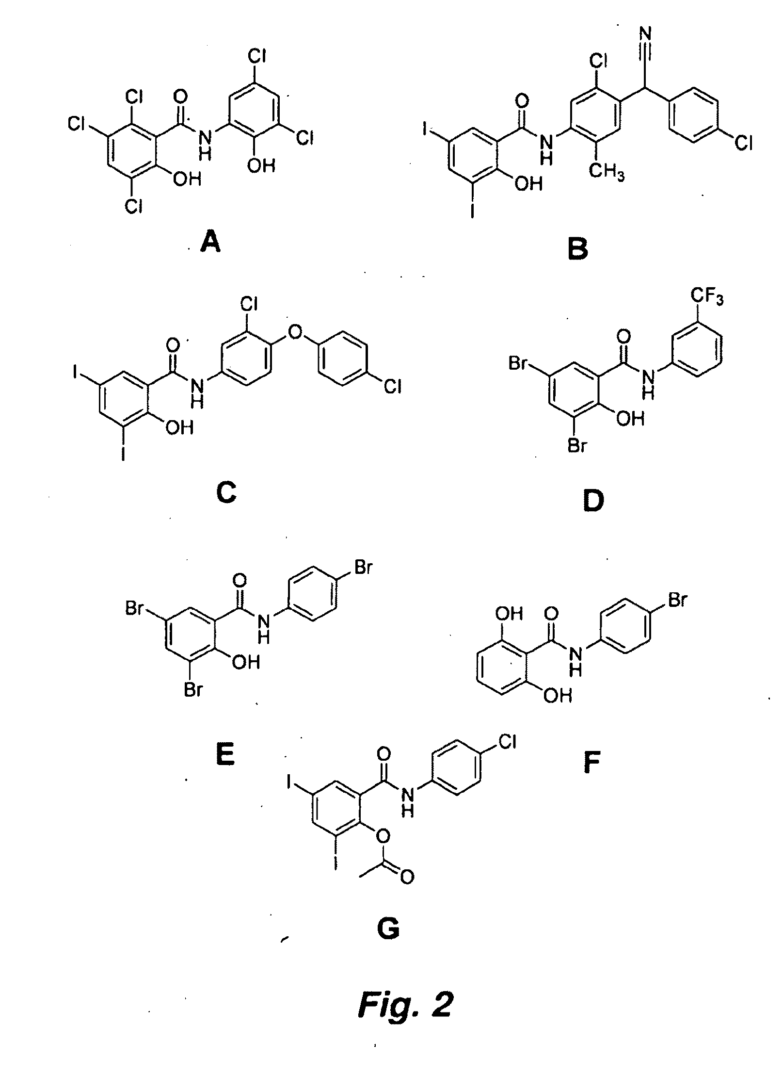 Salicylanilide modified peptides for use as oral therapeutics