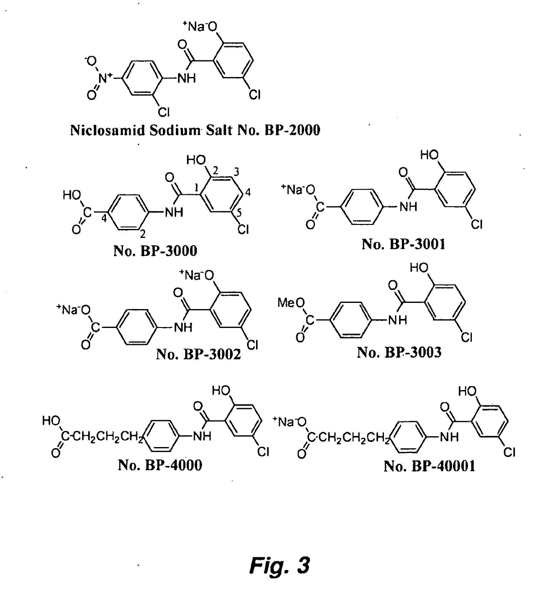 Salicylanilide modified peptides for use as oral therapeutics