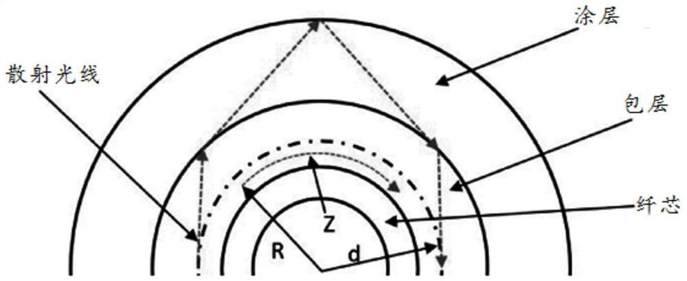 Annular loop single-mode optical fiber sensor based on a Renner correction model and annular optical fiber loop design method thereof