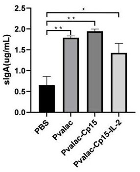 Cryptosporidium parvum Cp15 recombinant invasive lactic acid bacteria live vector vaccine